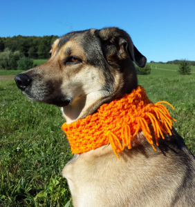 Orange Dog Scarf Crochet Pattern by Unseign