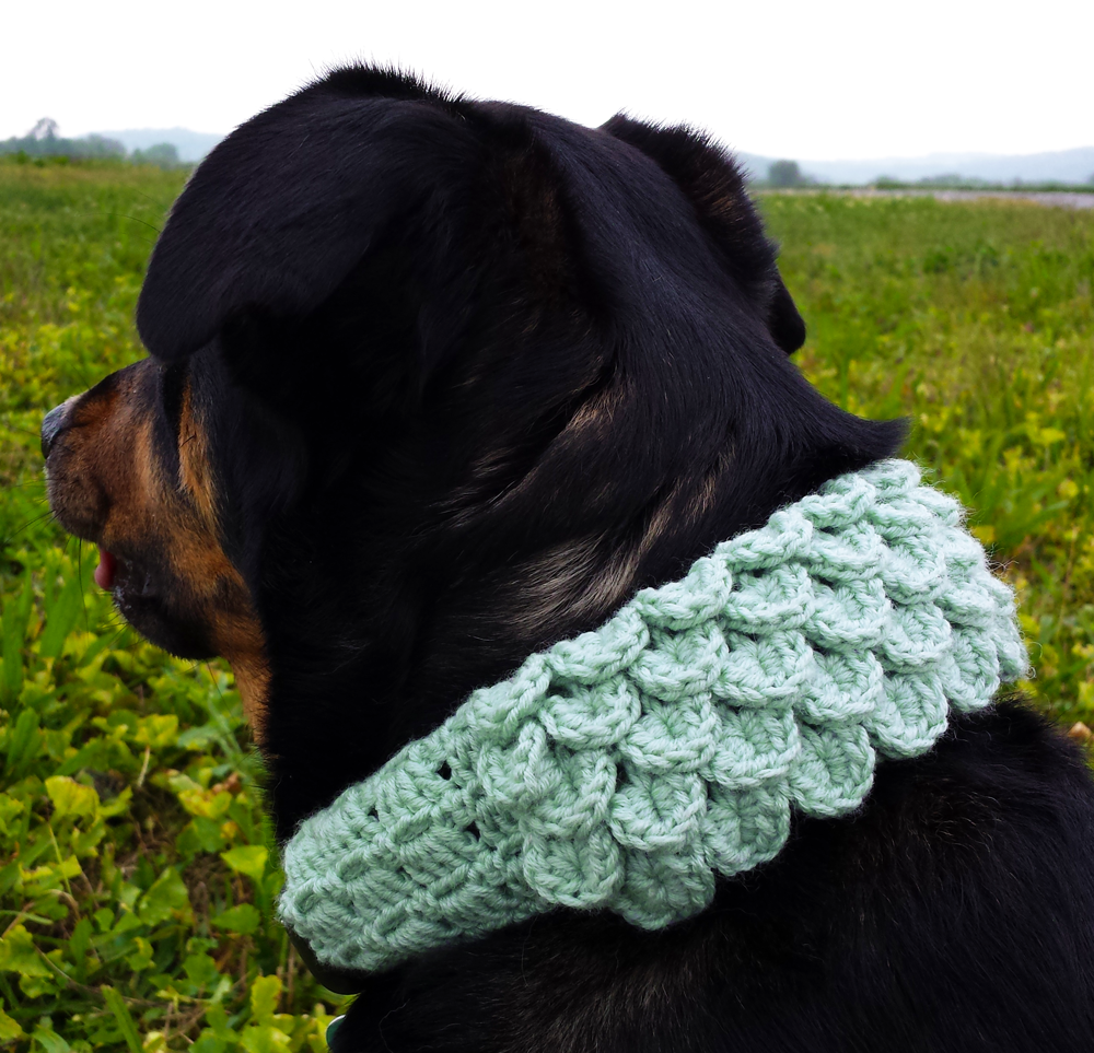 Unseign Crocodile Dog Scarf Crochet Pattern
