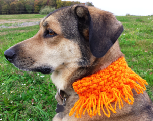 Orange Dog Scarf Crochet Pattern